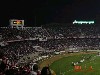 Eucaliptos